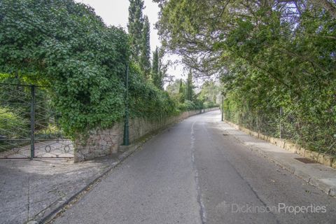 Tomt i Pollenca, Mallorca, Pollenca - € 500 000 | Ref: 1631 - foto 3