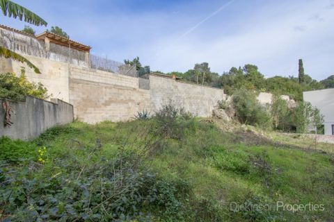 Tomt i Pollenca, Mallorca, Pollenca - € 500 000 | Ref: 1631 - foto 7