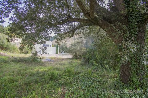 Tomt i Pollenca, Mallorca, Pollenca - € 500 000 | Ref: 1631 - foto 8