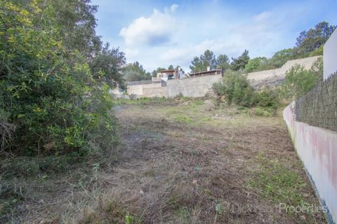 Tomt i Pollenca, Mallorca, Pollenca - € 500 000 | Ref: 1631 - foto 12