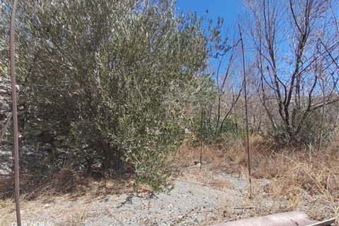 Landsbyhus i Albunol, Granada, Albunol - € 75.000 | Ref: 106 - foto 15