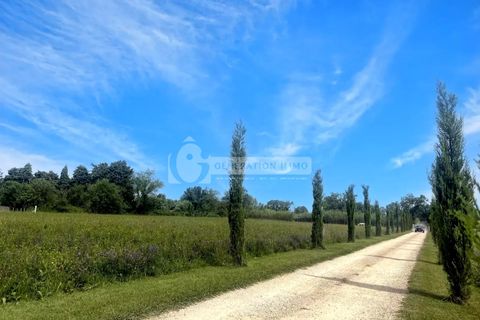 Villa en Arles, Bouches-du-Rhone, Arles - € 1.100.000 | Ref: 2386 - photo 18