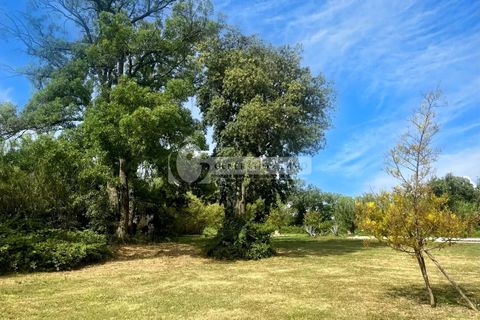 Villa en Arles, Bouches-du-Rhone, Arles - € 1.100.000 | Ref: 2386 - photo 22