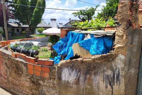 Landejendom i Barro, Aveiro, Barro - € 80.000 | Ref: CAS_618 - foto 5