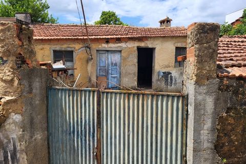 Landejendom i Barro, Aveiro, Barro - € 80.000 | Ref: CAS_618 - foto 6