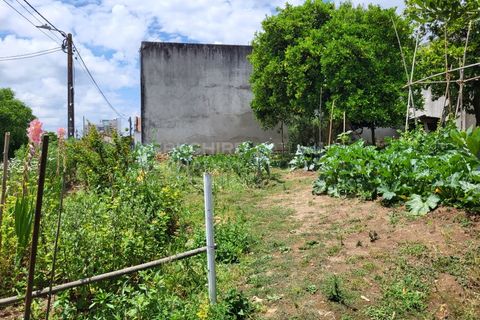 Landejendom i Barro, Aveiro, Barro - € 80.000 | Ref: CAS_618 - foto 10