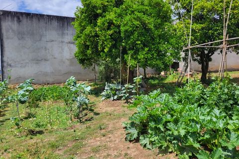 Landejendom i Barro, Aveiro, Barro - € 80.000 | Ref: CAS_618 - foto 11