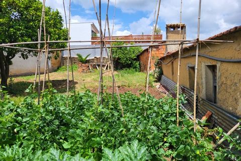 Landejendom i Barro, Aveiro, Barro - € 80.000 | Ref: CAS_618 - foto 12