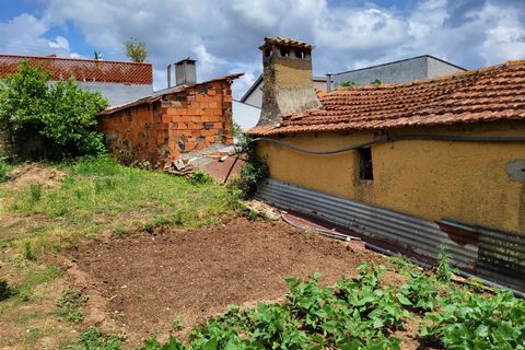 Landejendom i Barro, Aveiro, Barro - € 80.000 | Ref: CAS_618 - foto 13
