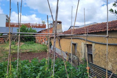 Landejendom i Barro, Aveiro, Barro - € 80.000 | Ref: CAS_618 - foto 14