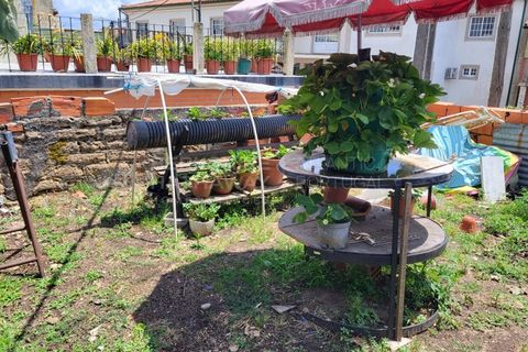 Landejendom i Barro, Aveiro, Barro - € 80.000 | Ref: CAS_618 - foto 18