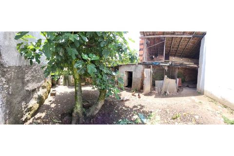 Landejendom i Barro, Aveiro, Barro - € 80.000 | Ref: CAS_618 - foto 20