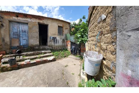 Landejendom i Barro, Aveiro, Barro - € 80.000 | Ref: CAS_618 - foto 22