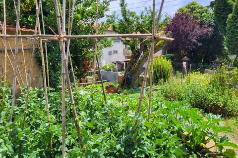 Landejendom i Barro, Aveiro, Barro - € 80.000 | Ref: CAS_618 - foto 26