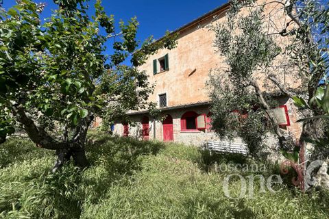 Villa i Casole d'Elsa, Siena, Casole d'Elsa - € 335.000 | Ref: 18570 - foto 49