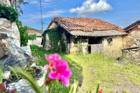 Villa - Salas, Asturias, Salas - € 13 630 | Réf : QPE00308/10606 - photo 1