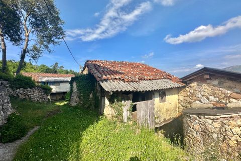 Villa - Salas, Asturias, Salas - € 13 630 | Réf : QPE00308/10606 - photo 4