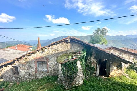 Villa - Salas, Asturias, Salas - € 13 630 | Réf : QPE00308/10606 - photo 5