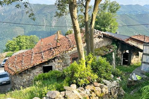 Villa - Salas, Asturias, Salas - € 13 630 | Réf : QPE00308/10606 - photo 7