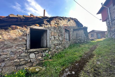 Villa - Salas, Asturias, Salas - € 13 630 | Réf : QPE00308/10606 - photo 11