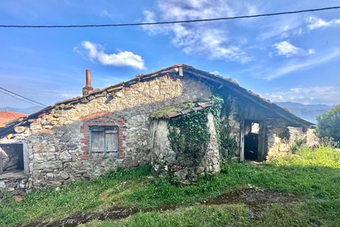 Villa - Salas, Asturias, Salas - € 13 630 | Réf : QPE00308/10606 - photo 14