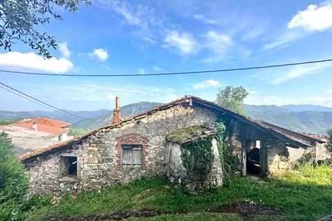 Villa - Salas, Asturias, Salas - € 13 630 | Réf : QPE00308/10606 - photo 20