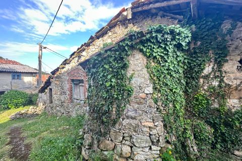 Villa - Salas, Asturias, Salas - € 13 630 | Réf : QPE00308/10606 - photo 24