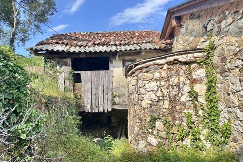 Villa - Salas, Asturias, Salas - € 13 630 | Réf : QPE00308/10606 - photo 25
