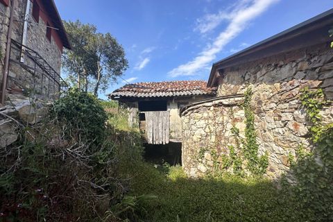 Villa - Salas, Asturias, Salas - € 13 630 | Réf : QPE00308/10606 - photo 26