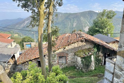 Villa - Salas, Asturias, Salas - € 13 630 | Réf : QPE00308/10606 - photo 27