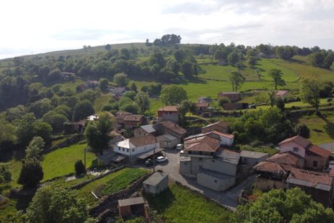 Villa - Salas, Asturias, Salas - € 13 630 | Réf : QPE00308/10606 - photo 30