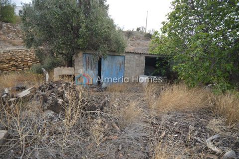 Landejendom i Albox, Almeria, Albox - € 155.000 | Ref: AH-13794 - foto 6