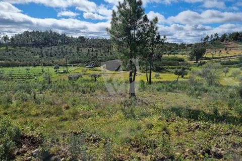Helårsgrund i Castelo Branco, Castelo Branco, Castelo Branco - € 27.000 | Ref: H672 - foto 3