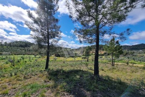 Helårsgrund i Castelo Branco, Castelo Branco, Castelo Branco - € 27.000 | Ref: H672 - foto 4