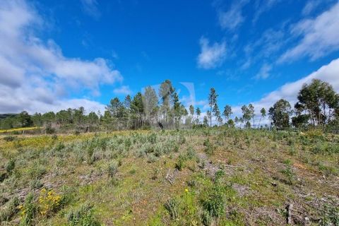 Helårsgrund i Castelo Branco, Castelo Branco, Castelo Branco - € 27.000 | Ref: H672 - foto 6