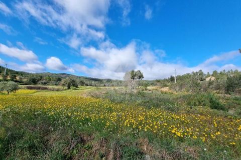 Helårsgrund i Castelo Branco, Castelo Branco, Castelo Branco - € 27.000 | Ref: H672 - foto 7