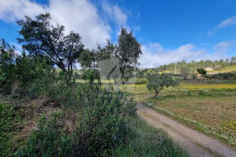 Helårsgrund i Castelo Branco, Castelo Branco, Castelo Branco - € 27.000 | Ref: H672 - foto 11