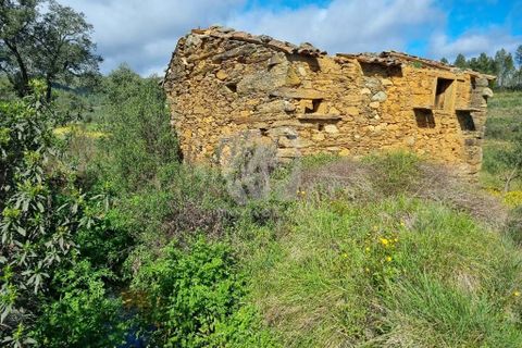Helårsgrund i Castelo Branco, Castelo Branco, Castelo Branco - € 27.000 | Ref: H672 - foto 14