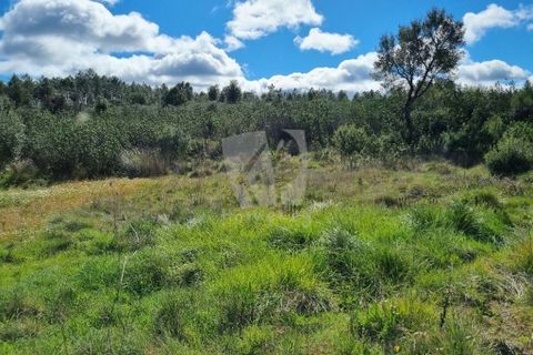 Helårsgrund i Castelo Branco, Castelo Branco, Castelo Branco - € 27.000 | Ref: H672 - foto 16