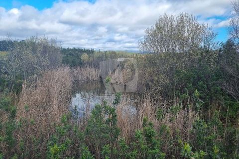 Helårsgrund i Castelo Branco, Castelo Branco, Castelo Branco - € 27.000 | Ref: H672 - foto 21