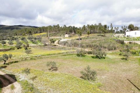 Helårsgrund i Castelo Branco, Castelo Branco, Castelo Branco - € 27.000 | Ref: H672 - foto 22