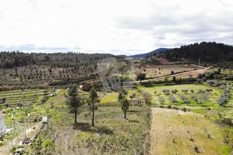 Helårsgrund i Castelo Branco, Castelo Branco, Castelo Branco - € 27.000 | Ref: H672 - foto 23