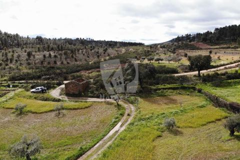 Helårsgrund i Castelo Branco, Castelo Branco, Castelo Branco - € 27.000 | Ref: H672 - foto 24
