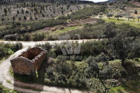 Helårsgrund i Castelo Branco, Castelo Branco, Castelo Branco - € 27.000 | Ref: H672 - foto 25