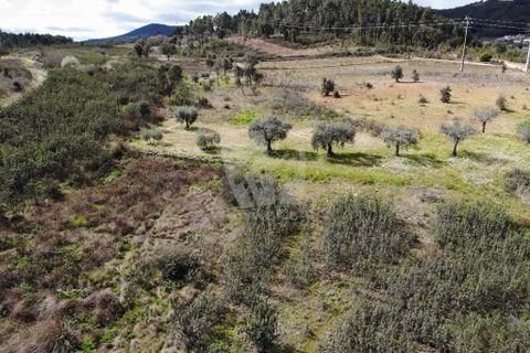 Helårsgrund i Castelo Branco, Castelo Branco, Castelo Branco - € 27.000 | Ref: H672 - foto 26