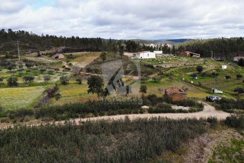 Helårsgrund i Castelo Branco, Castelo Branco, Castelo Branco - € 27.000 | Ref: H672 - foto 28