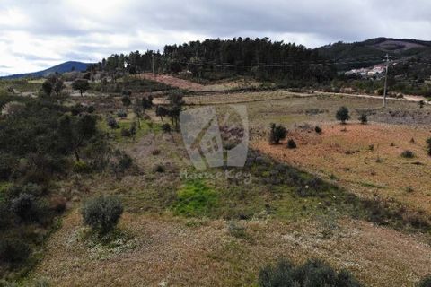 Helårsgrund i Castelo Branco, Castelo Branco, Castelo Branco - € 27.000 | Ref: H672 - foto 29