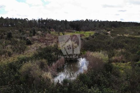 Helårsgrund i Castelo Branco, Castelo Branco, Castelo Branco - € 27.000 | Ref: H672 - foto 30