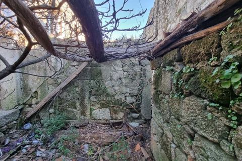 Ruinere i Castelo Branco, Castelo Branco, Castelo Branco - € 19.000 | Ref: H668 - foto 6