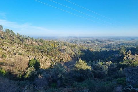 Ruinere i Castelo Branco, Castelo Branco, Castelo Branco - € 19.000 | Ref: H668 - foto 13